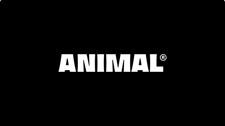 ANIMAL COCINA
